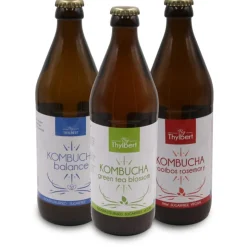 Artisanale Special Kombucha 'Blossom' bio<Pit&Pit Cheap
