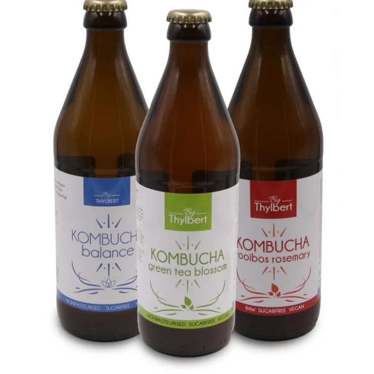 Artisanale Special Kombucha 'Blossom' bio<Pit&Pit Cheap