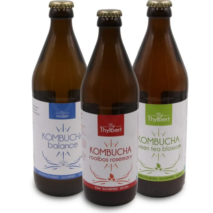 Artisanale Special Kombucha 'Rooibos' bio<Pit&Pit New