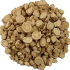 Astragalus<Pit&Pit Outlet
