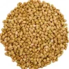 Boekweit bio<Pit&Pit Cheap