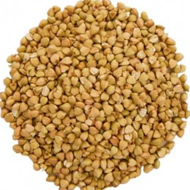 Boekweit bio<Pit&Pit Cheap