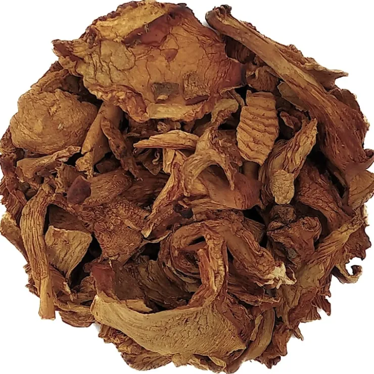 Cantharellen bio<Pit&Pit Flash Sale