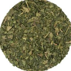 Cold brew matcha thee bio<Pit&Pit Cheap