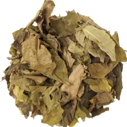 Curryblad<Pit&Pit Online