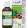 Duivelsklauw tinctuur bio<Pit&Pit Outlet