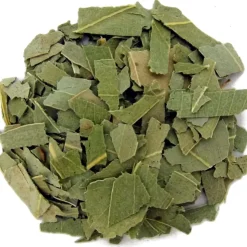 Eucalyptus bladeren<Pit&Pit Clearance