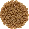 Geel mosterdzaad<Pit&Pit Best