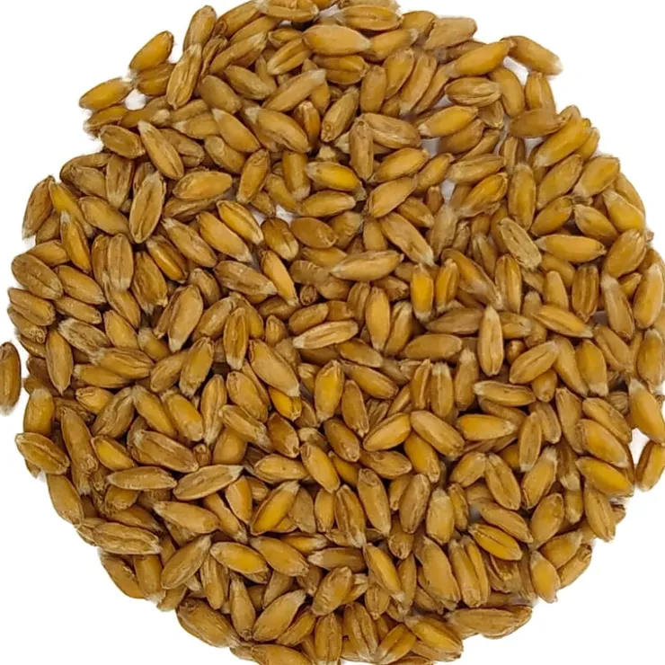 Gekiemde spelt bio<Pit&Pit Flash Sale