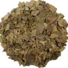 Ginkgo biloba<Pit&Pit Hot