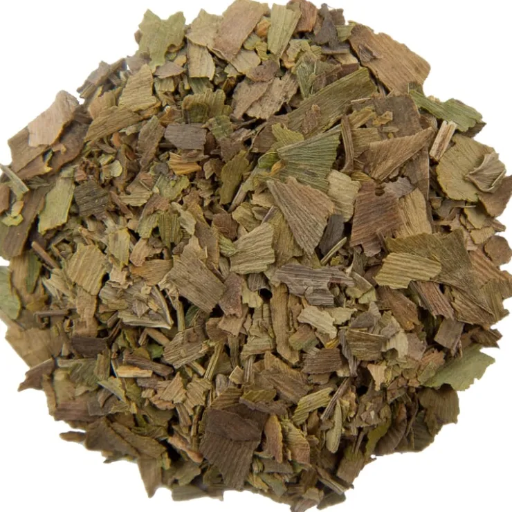 Ginkgo biloba<Pit&Pit Hot