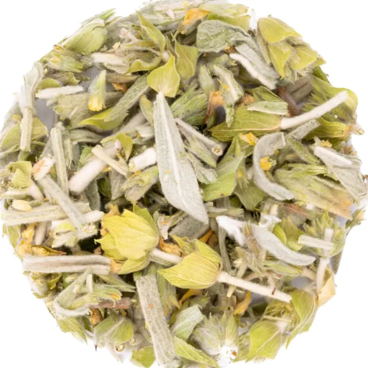 Griekse bergthee bio<Pit&Pit Discount
