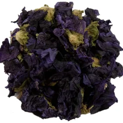 Kaasjeskruid bloem<Pit&Pit Cheap