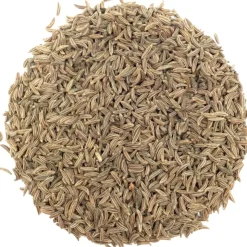 Karwijzaad bio<Pit&Pit Online