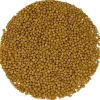 Mosterd kiemzaden bio<Pit&Pit Hot