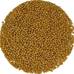 Mosterd kiemzaden bio<Pit&Pit Hot