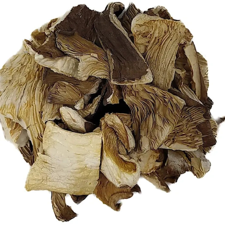 Oesterzwammen bio<Pit&Pit Online