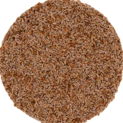 Psylliumzaad bio<Pit&Pit Outlet