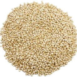 Quinoa uit Nederland<Pit&Pit Cheap