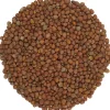Radijszaad kiemzaden bio<Pit&Pit Hot