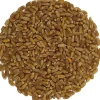 Tarwegras kiemzaden bio<Pit&Pit Sale