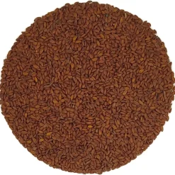 Tuinkers kiemzaden<Pit&Pit New