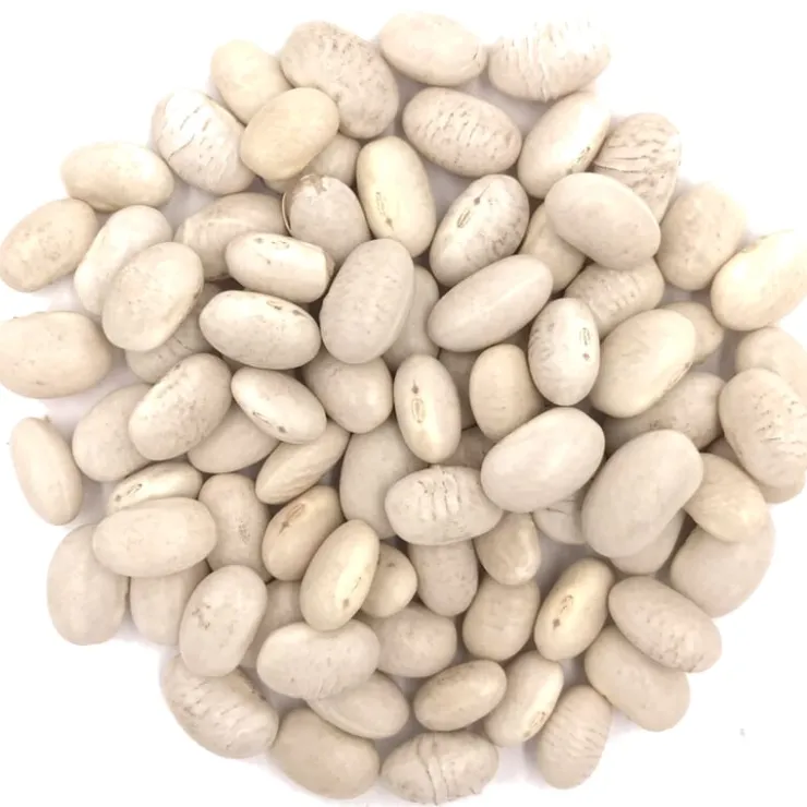 Witte bonen klein bio<Pit&Pit Shop