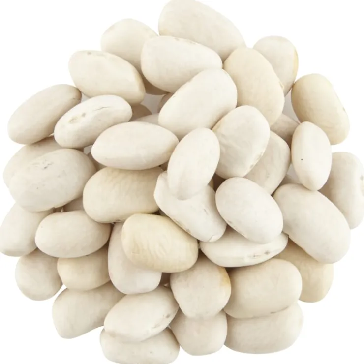 Witte bonen medium bio<Pit&Pit Discount