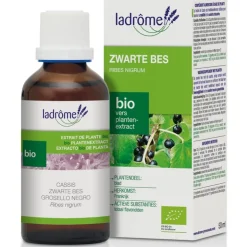 Zwarte bes tinctuur bio<Pit&Pit Outlet